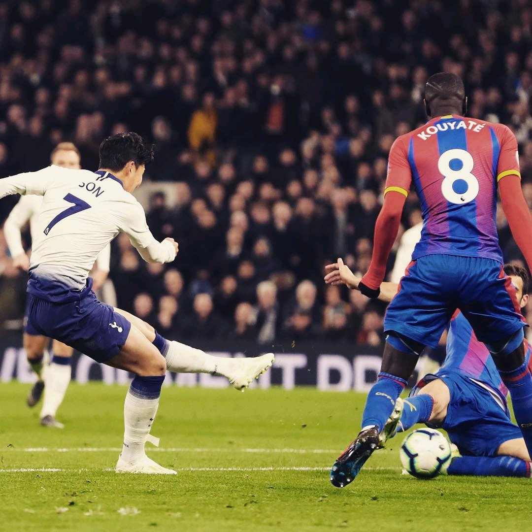 来的明星 来的明星